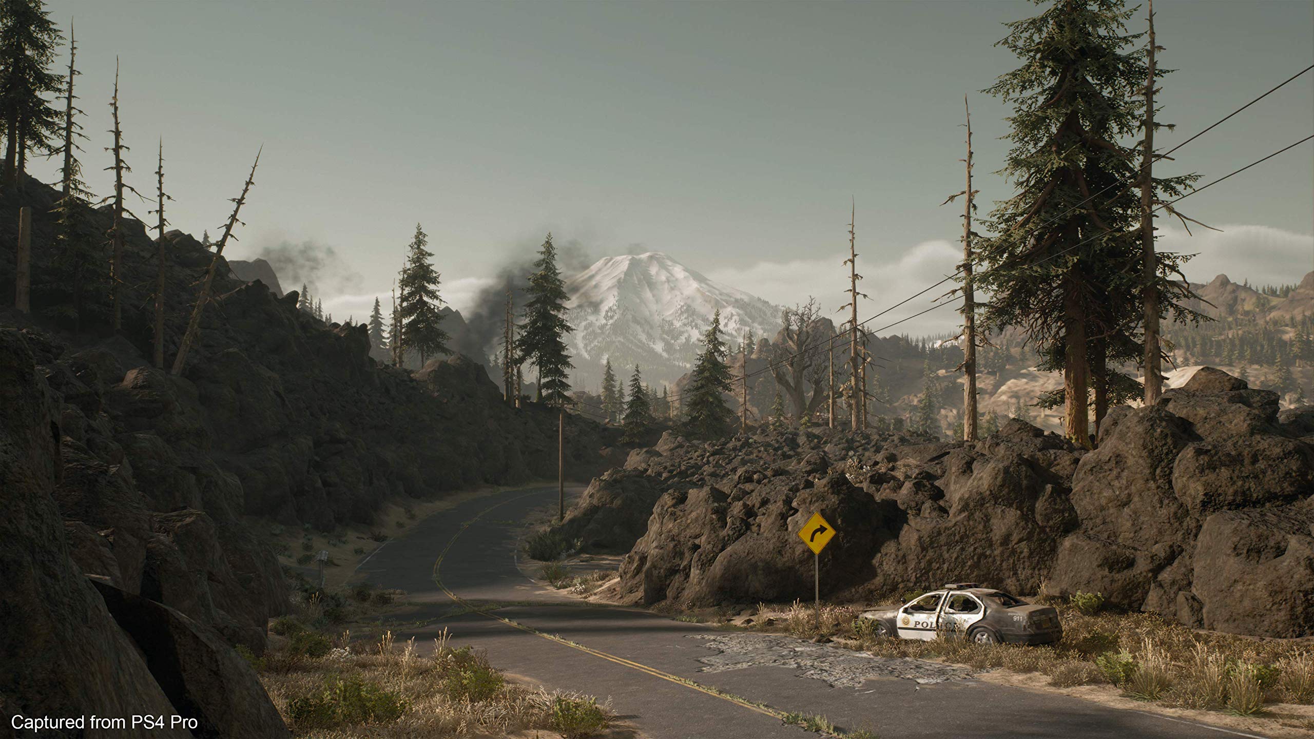 Playstation Bend Studio Bend Studio Days Gone - Édition normale Playstation Bend Studio Bend Studio Days Gone - Édition normale